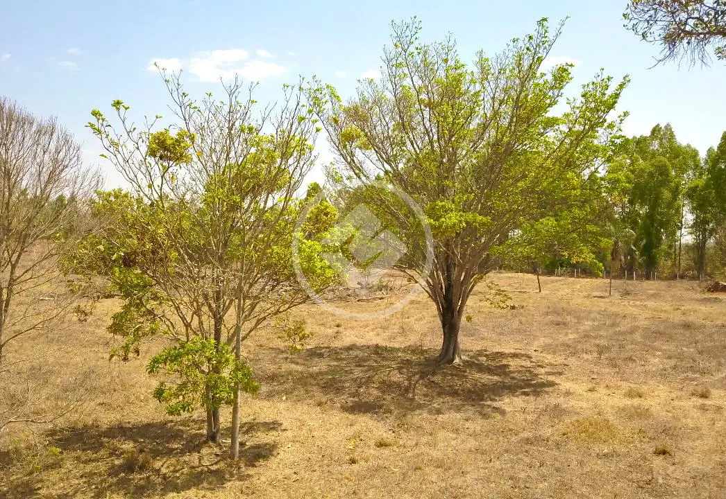 Imagem 2 - Chácara em Estância Cantinho do Céu - Fazenda Caiçara, Bela Vista de Goiás - GO