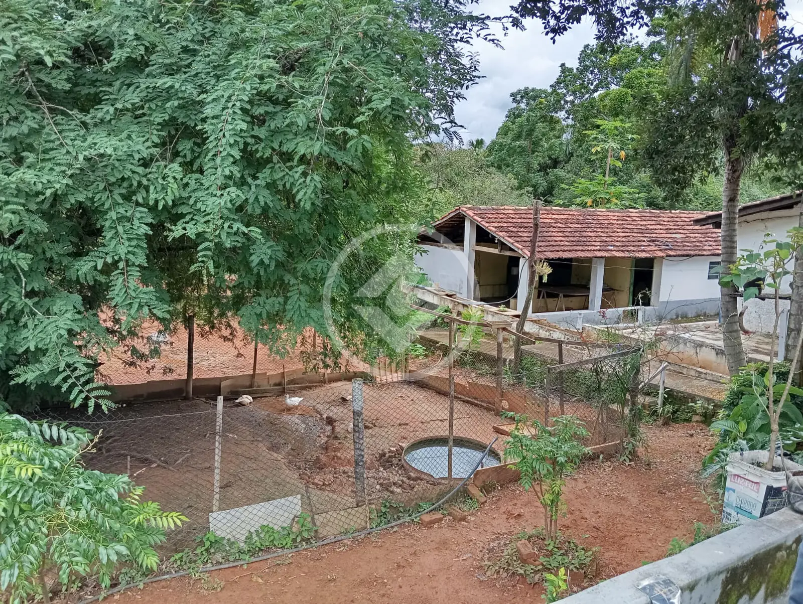 Chácara Garavelo Sul, Hidrolândia - GO — foto 2