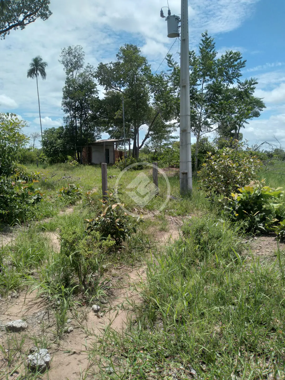 Chácara BAIRRO CONVERSAO, CIDADE CONVERSAO - MT — foto 1
