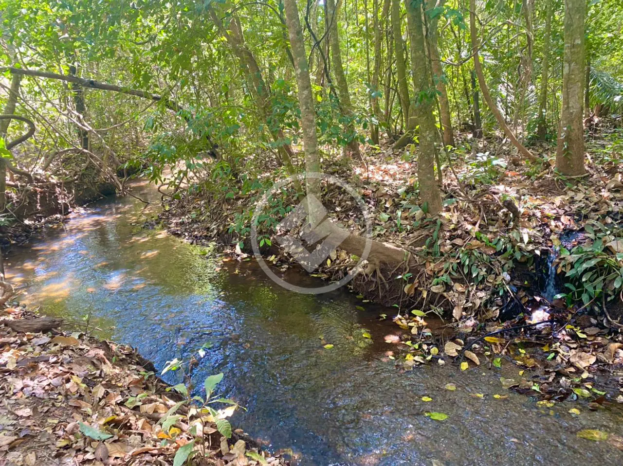 Imagem 4 - Chácara em Estância Cantinho do Céu - Fazenda Caiçara, Bela Vista de Goiás - GO