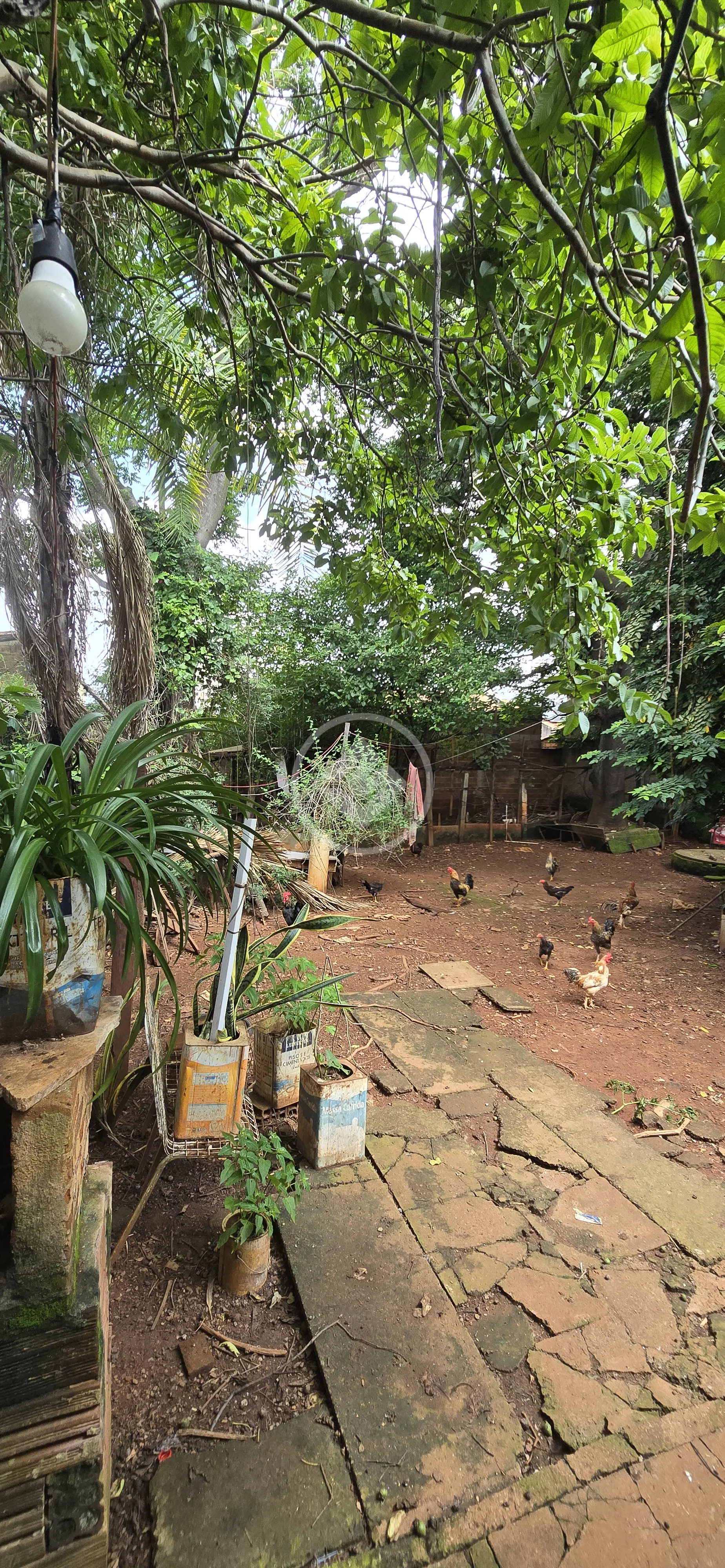 Casa Vila Brasília, Aparecida de Goiânia - GO — foto 2