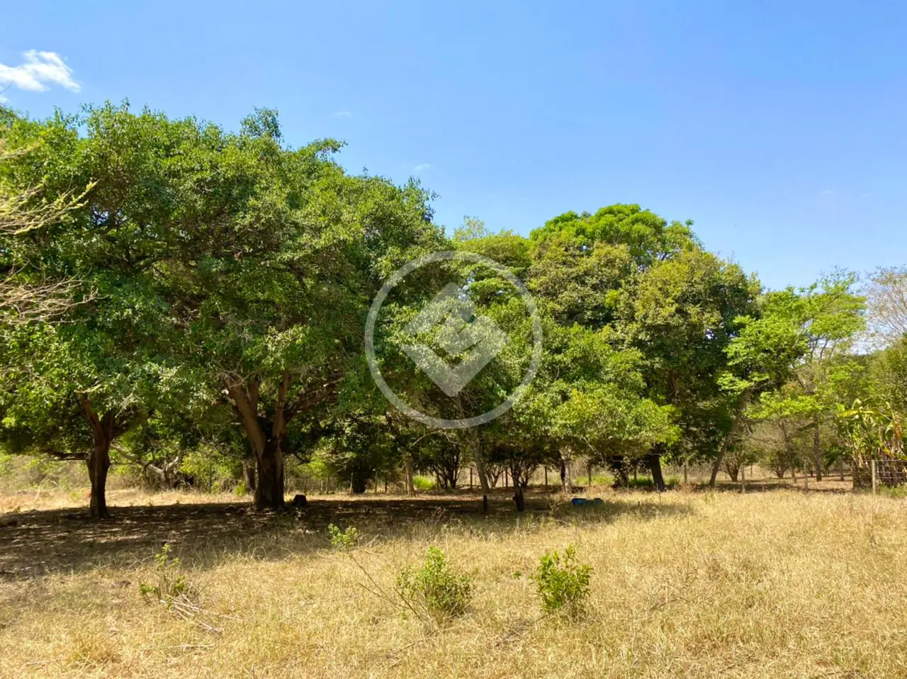 Image 8 - Chácara em Estância Cantinho do Céu - Fazenda Caiçara, Bela Vista de Goiás - GO