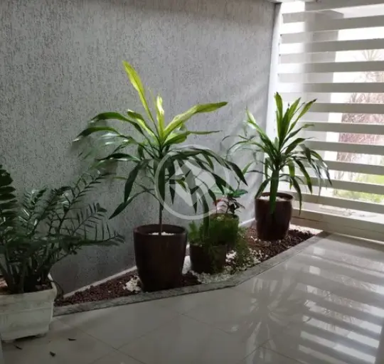 Apartamento Jardim Vila Boa, Goiânia - GO — foto 2