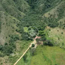 Imagem 3 - Chácara em Setor Central, Niquelândia - GO