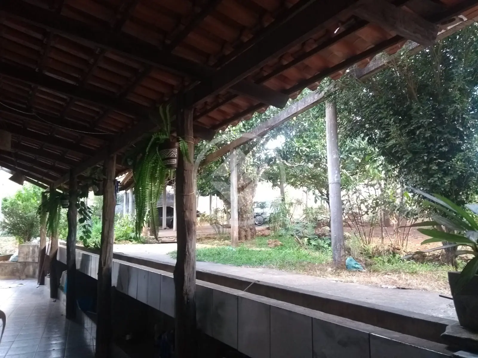 Imagem 6 - Chácara em Parque Veiga Jardim, Aparecida de Goiânia - GO