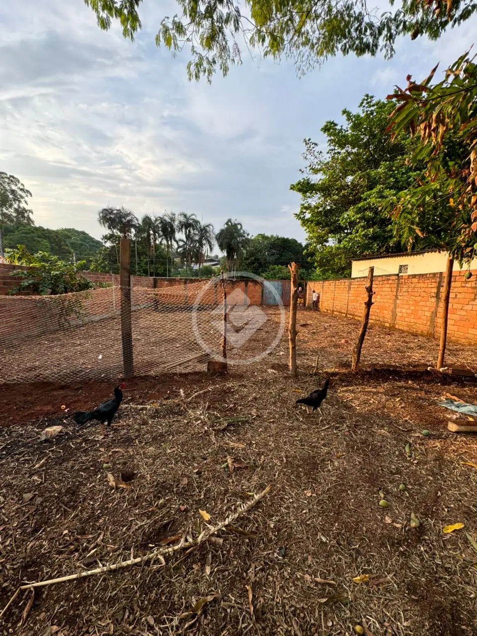 Terreno Jardim Veneza, Aparecida de Goiânia - GO — foto 2