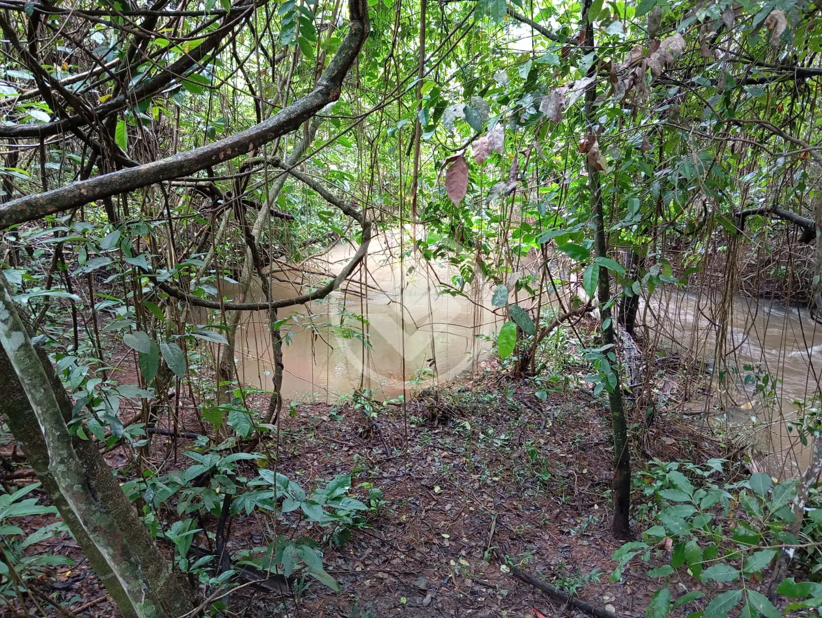 Imagem 4 - Chácara em Garavelo Sul, Hidrolândia - GO