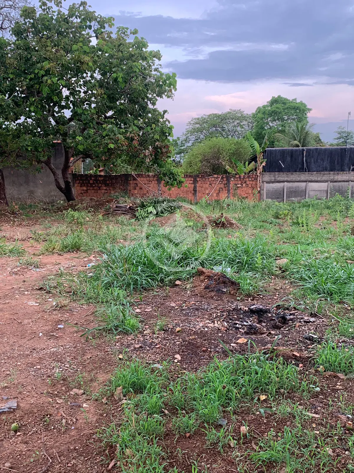 Terreno Jardim Veneza, Aparecida de Goiânia - GO — foto 2