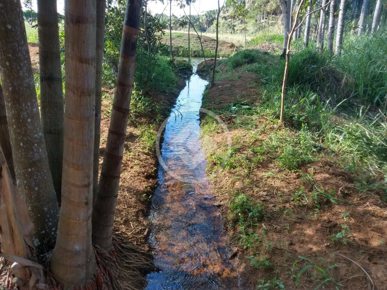 Chácara Zona Rural, Santa Bárbara de Goiás - GO — foto 2