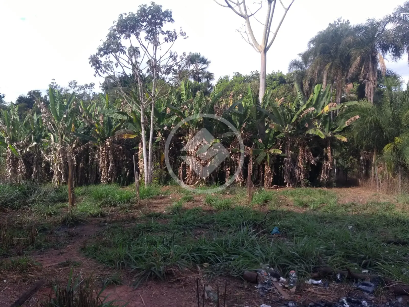Imagem 5 - Chácara em Parque Veiga Jardim, Aparecida de Goiânia - GO