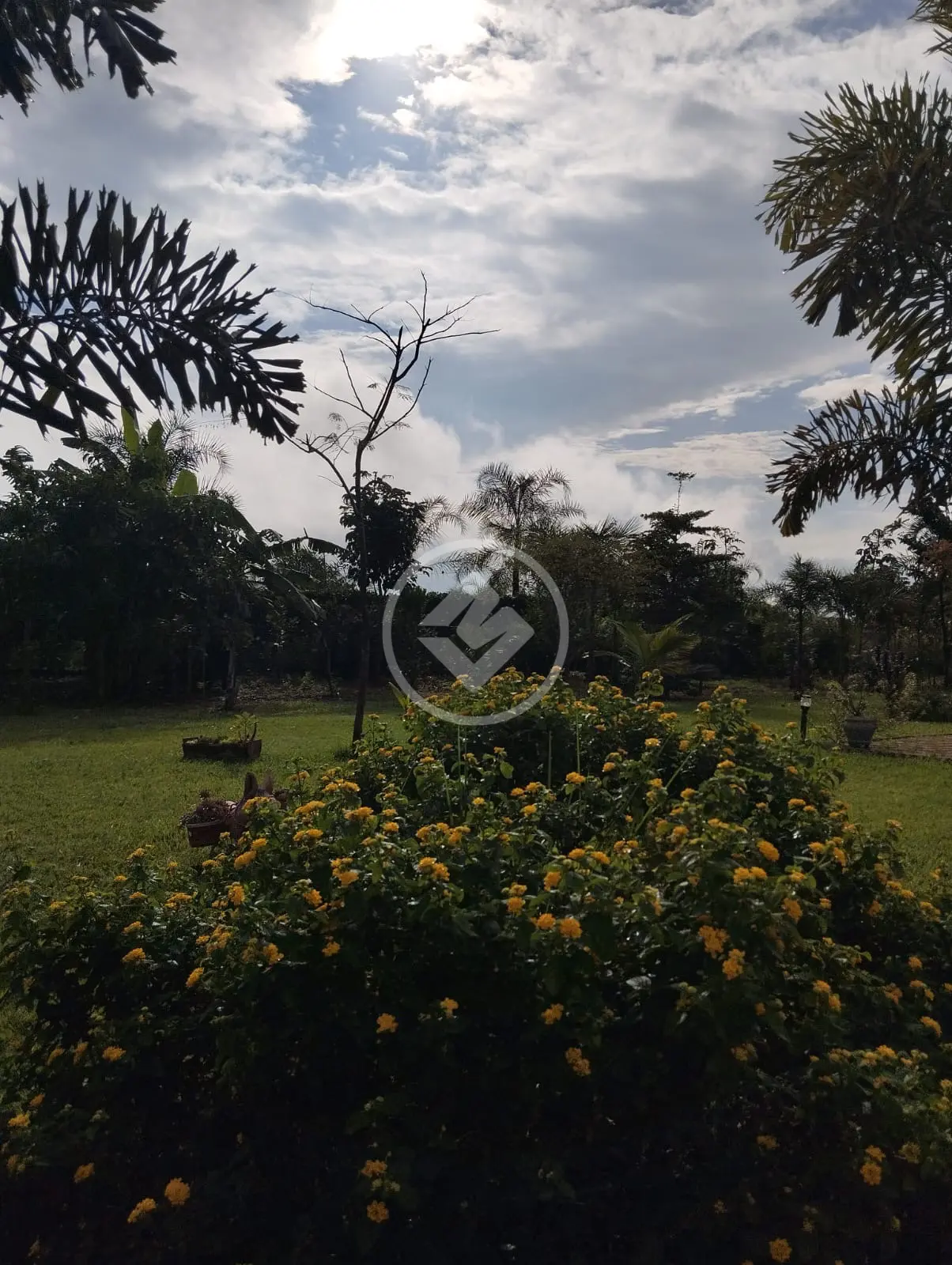 Imagem 1 - Chácara em Zona Rural, Bonfinópolis - GO