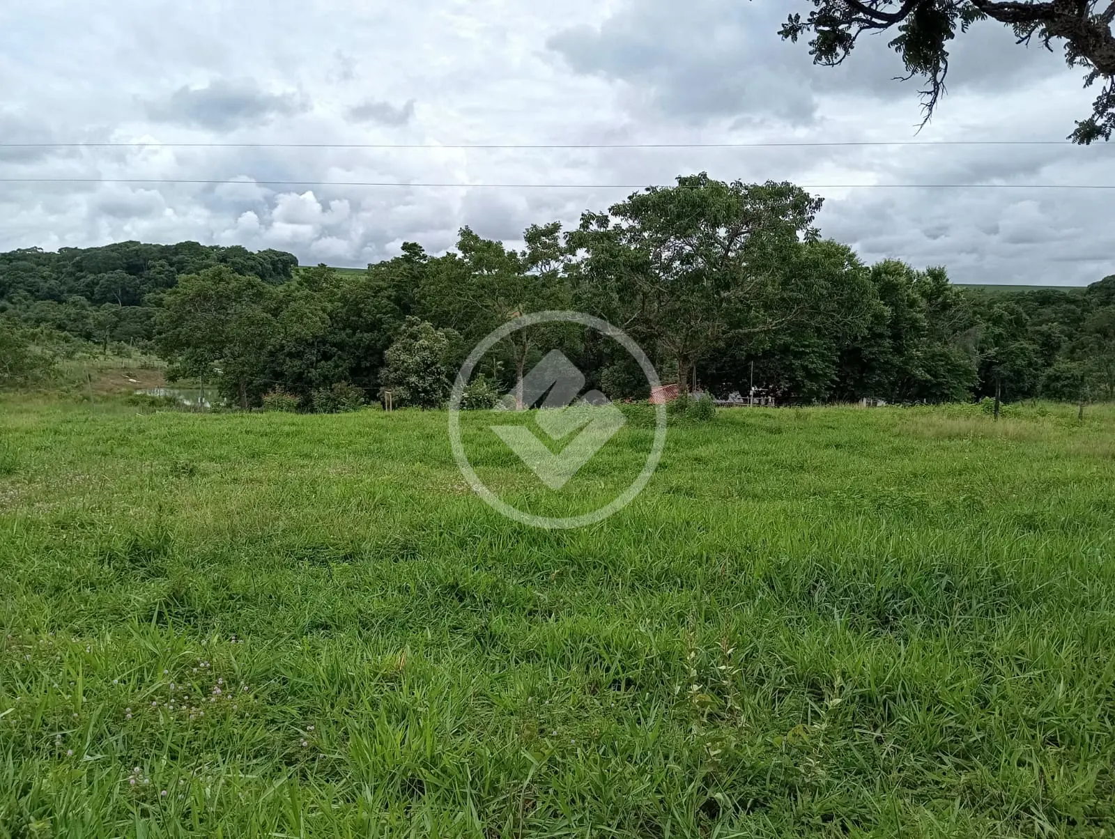Imagem 6 - Chácara em Garavelo Sul, Hidrolândia - GO