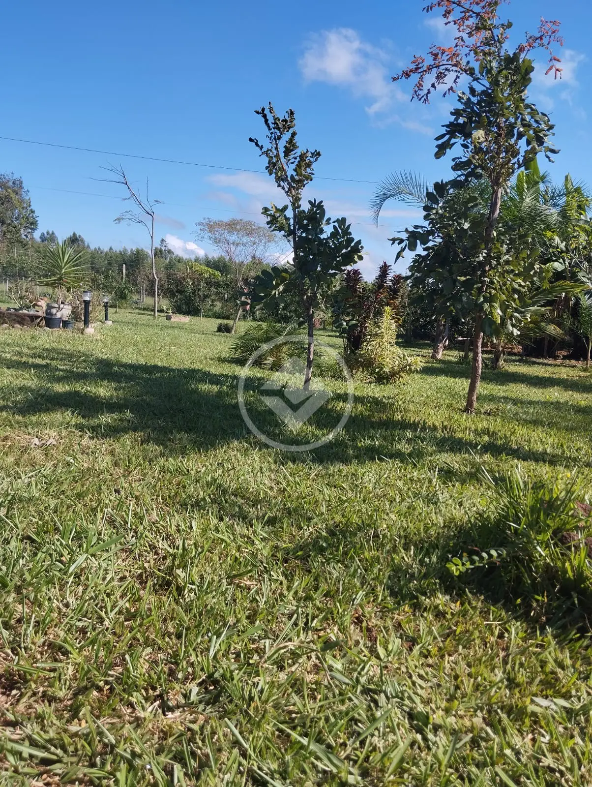 Imagem 3 - Chácara em Zona Rural, Bonfinópolis - GO