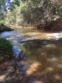 Imagem 3 - Chácara em Centro, Aragoiânia - GO
