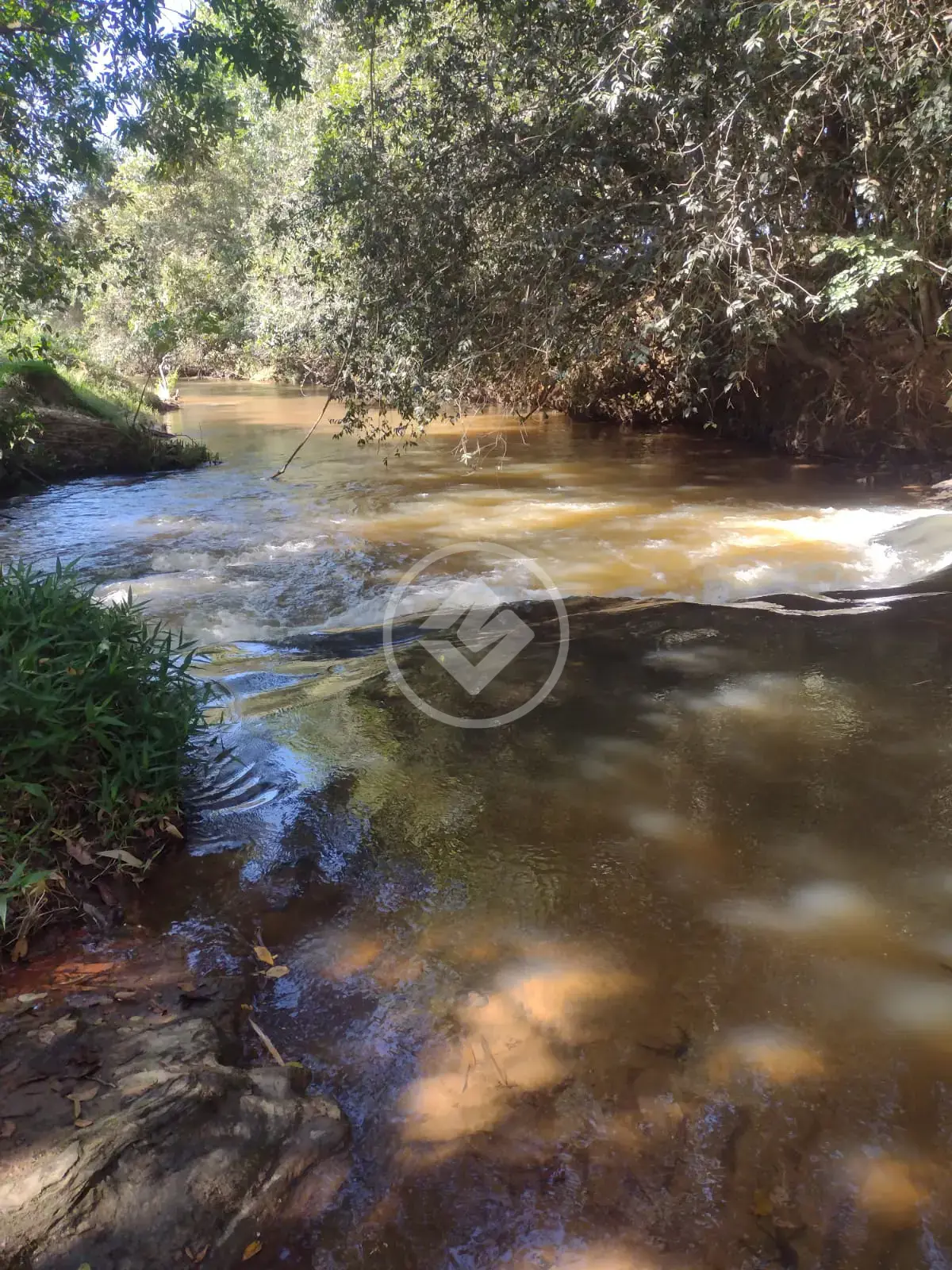 Image 4 - Chácara em Centro, Aragoiânia - GO