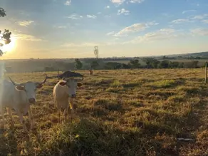 Imagem 3 - Chácara em central, Bonfinópolis - GO