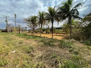 Imagem 3 - Chácara em Cardoso, Aparecida de Goiânia - GO