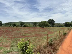 Terreno Jardim das Oliveiras, Senador Canedo - GO — foto 2