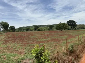 Imagem 2 - Terreno em Jardim das Oliveiras, Senador Canedo - GO