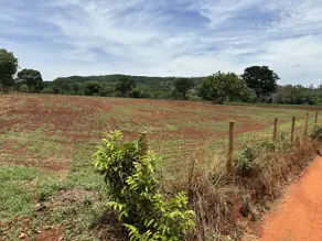 Imagem 3 - Terreno em Jardim das Oliveiras, Senador Canedo - GO