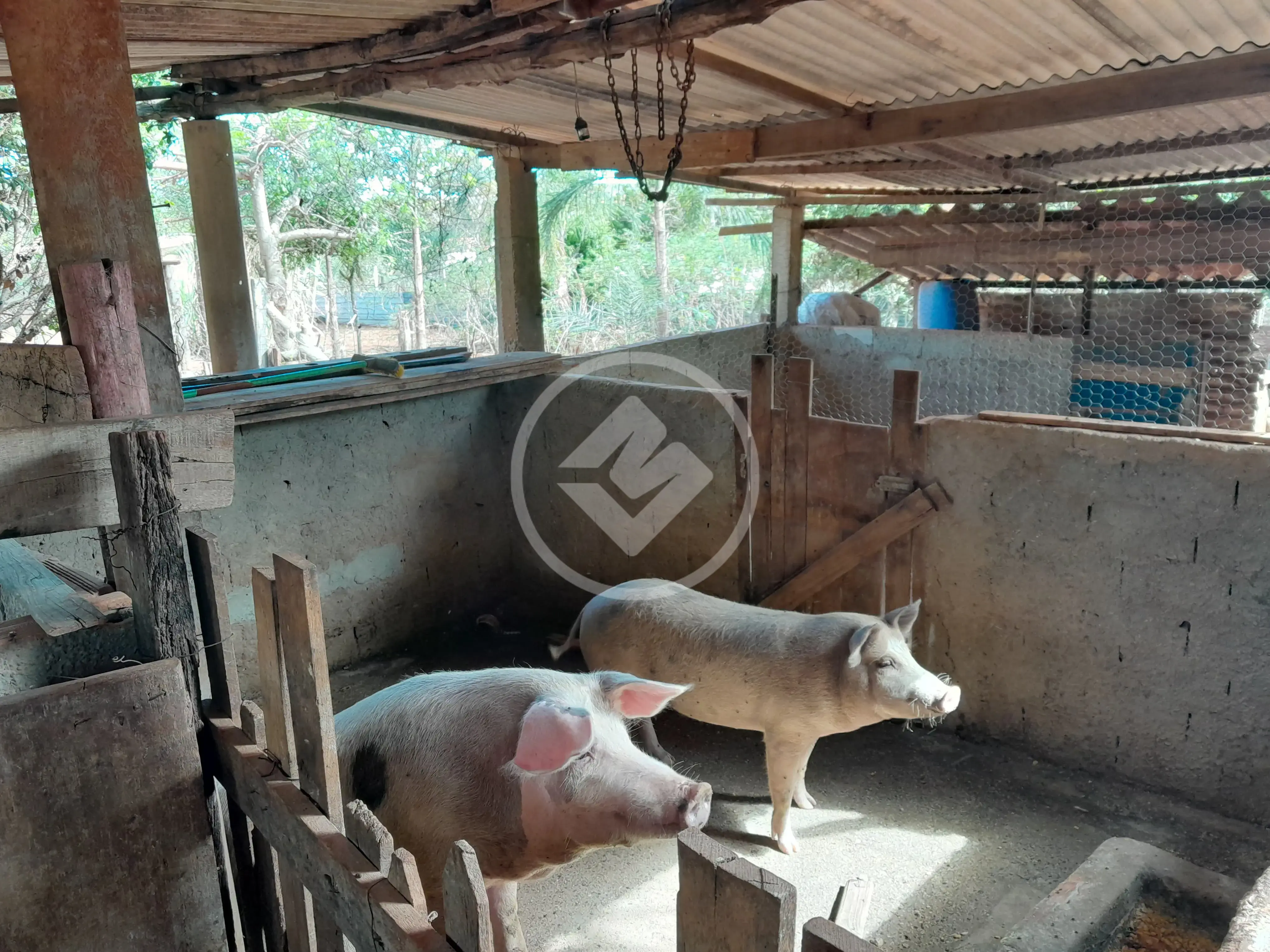 Imagem 1 - Chácara em Zona Rural, Leopoldo de Bulhões - GO