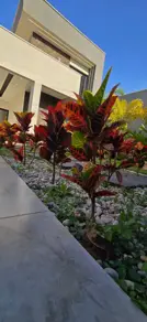 Imagem 4 - Casa em Setor Grajaú, Goiânia - GO