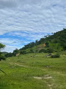 Imagem 4 - Fazenda em São João, Goiás - GO