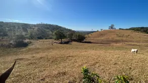 Imagem 2 - Fazenda em São João, Goiás - GO