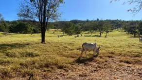 Fazenda São João, Goiás - GO — foto 2
