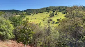 Fazenda São João, Goiás - GO — foto 1