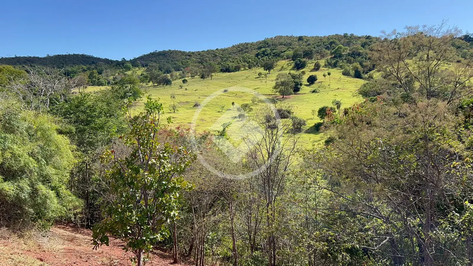 Imagem 1 - Fazenda em São João, Goiás - GO