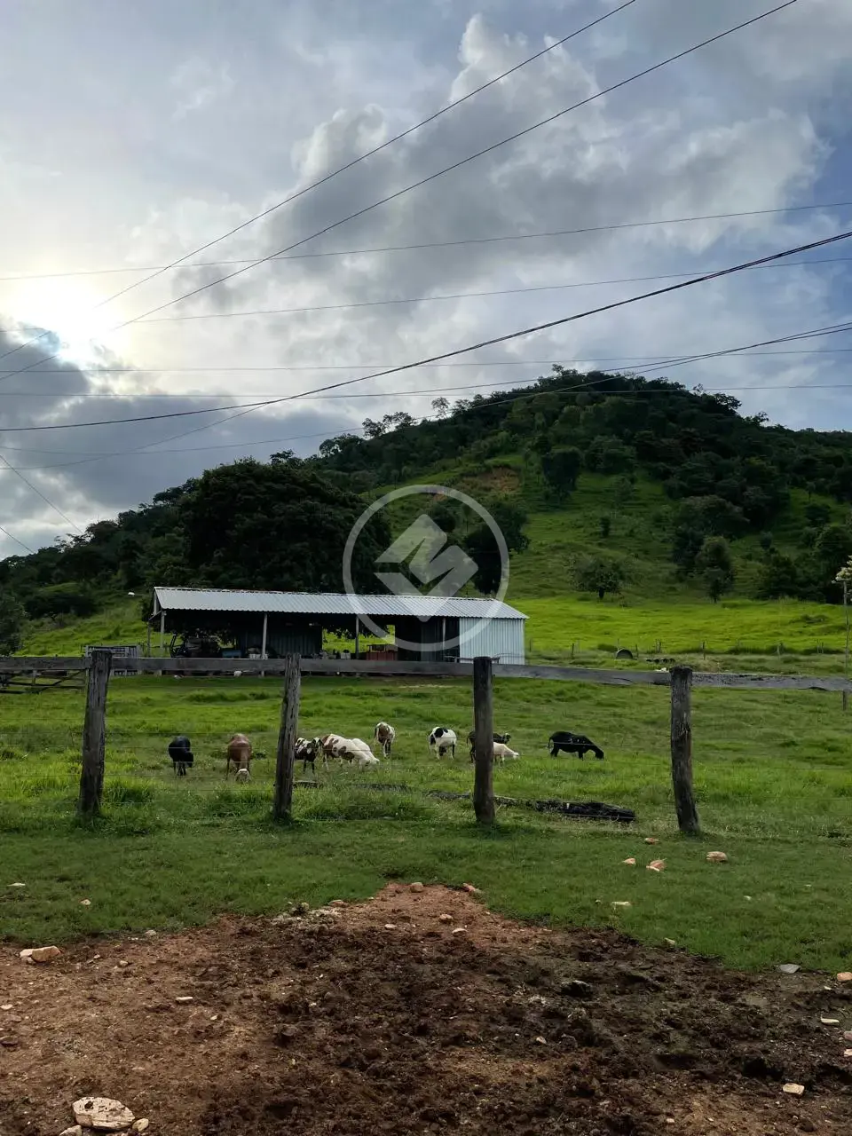 Image 8 - Fazenda em São João, Goiás - GO