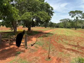 Terreno Jardim das Oliveiras, Senador Canedo - GO — foto 1