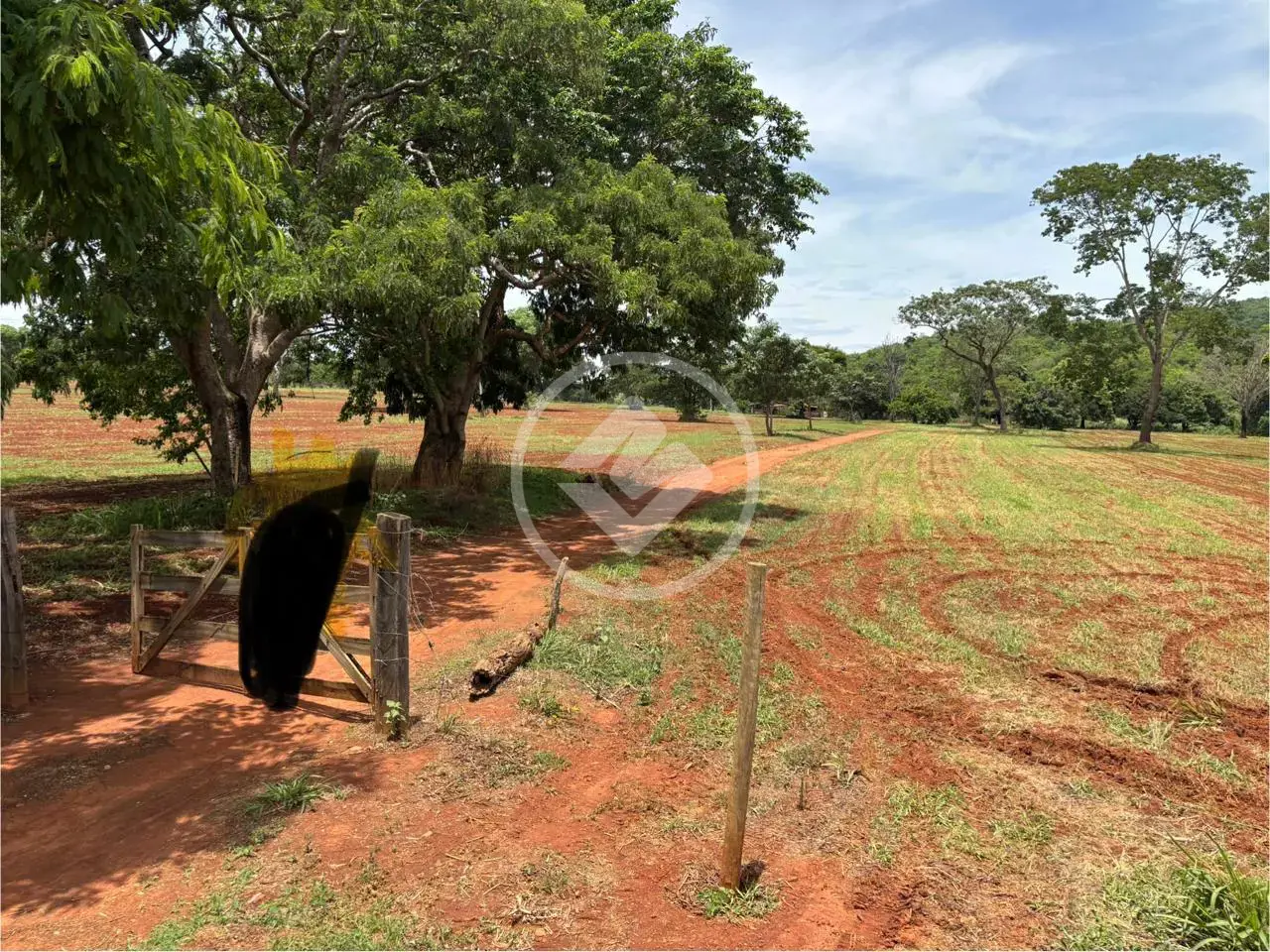 Imagem 1 - Terreno em Jardim das Oliveiras, Senador Canedo - GO