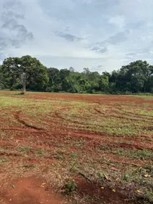 Imagem 5 - Terreno em Jardim das Oliveiras, Senador Canedo - GO