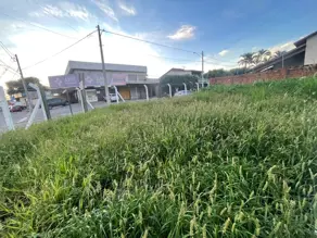 Imagem 3 - Sala Comercial em Expansul, Aparecida de Goiânia - GO