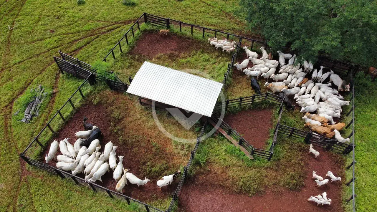 Image 5 - Fazenda em Centro, Goianésia - GO