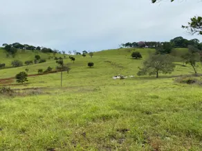 Fazenda Centro, Goianésia - GO — foto 2