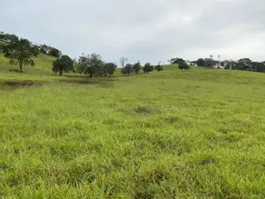 Imagem 3 - Fazenda em Centro, Goianésia - GO