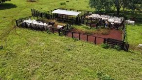 Fazenda Centro, Goianésia - GO — foto 1