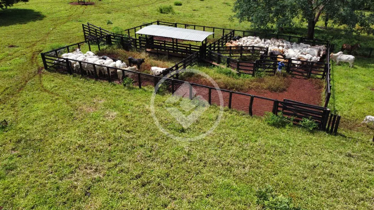 Imagem 1 - Fazenda em Centro, Goianésia - GO