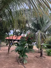Imagem 5 - Fazenda em Uruaçu - GO, Uruaçu - GO