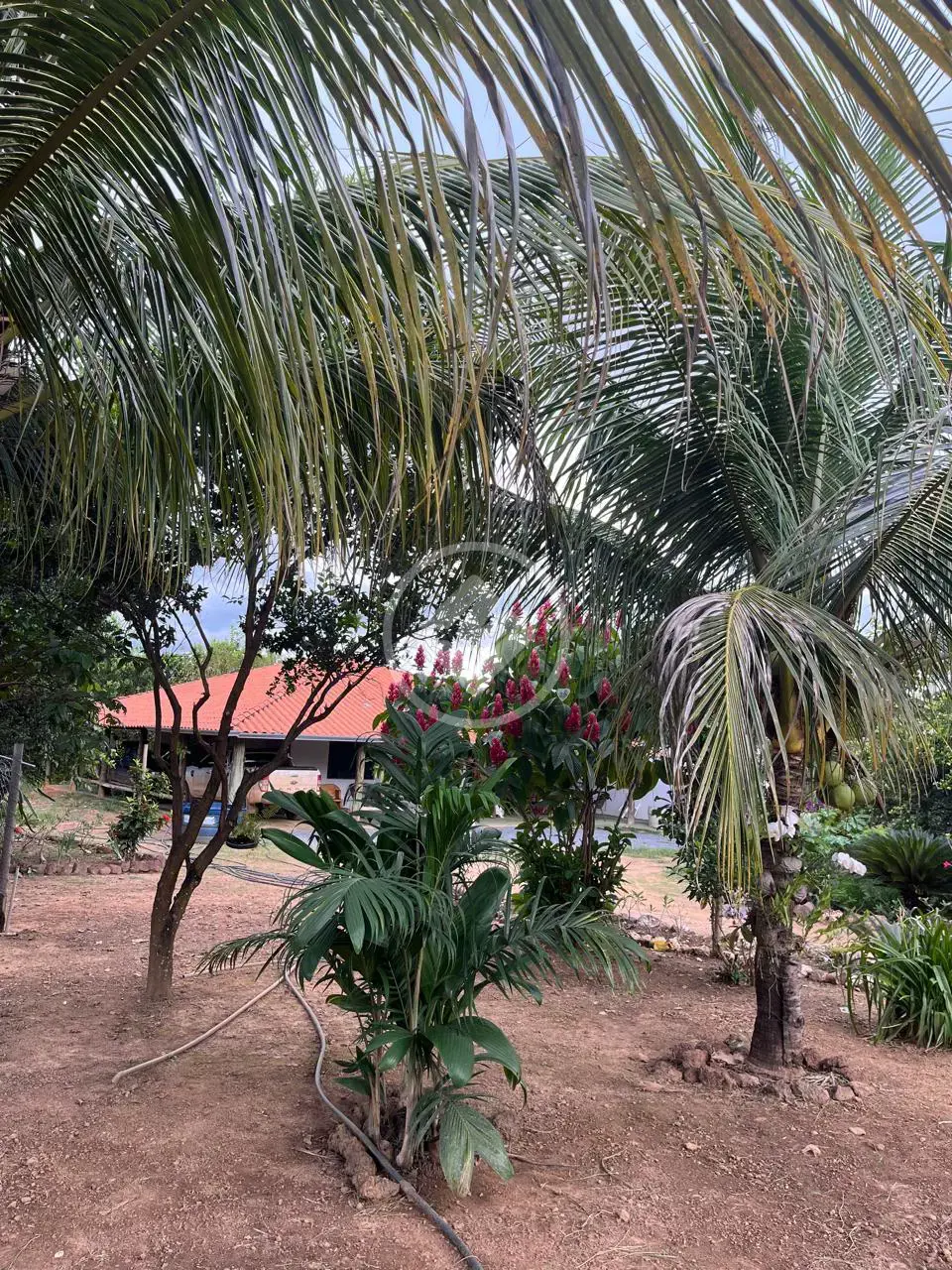 Imagem 5 - Fazenda em Uruaçu - GO, Uruaçu - GO