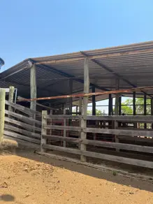 Imagem 2 - Fazenda em Uruaçu - GO, Uruaçu - GO