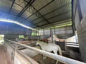Imagem 4 - Chácara em Setor Garavelo, Aparecida de Goiânia - GO