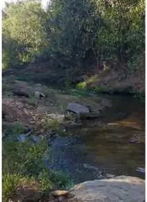 Imagem 2 - Terreno em Setor Buenos Aires - 1ª Etapa, Aparecida de Goiânia - GO