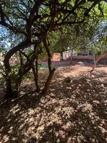 Imagem 6 - Casa em Cidade Livre, Aparecida de Goiânia - GO