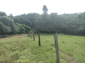 Chácara São Miguel do Passa Quatro GO, São Miguel do Passa Quatro - GO — foto 1