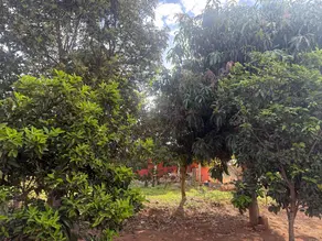 Imagem 6 - Chácara em central, Bonfinópolis - GO