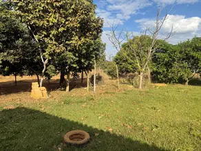 Imagem 4 - Chácara em central, Bonfinópolis - GO